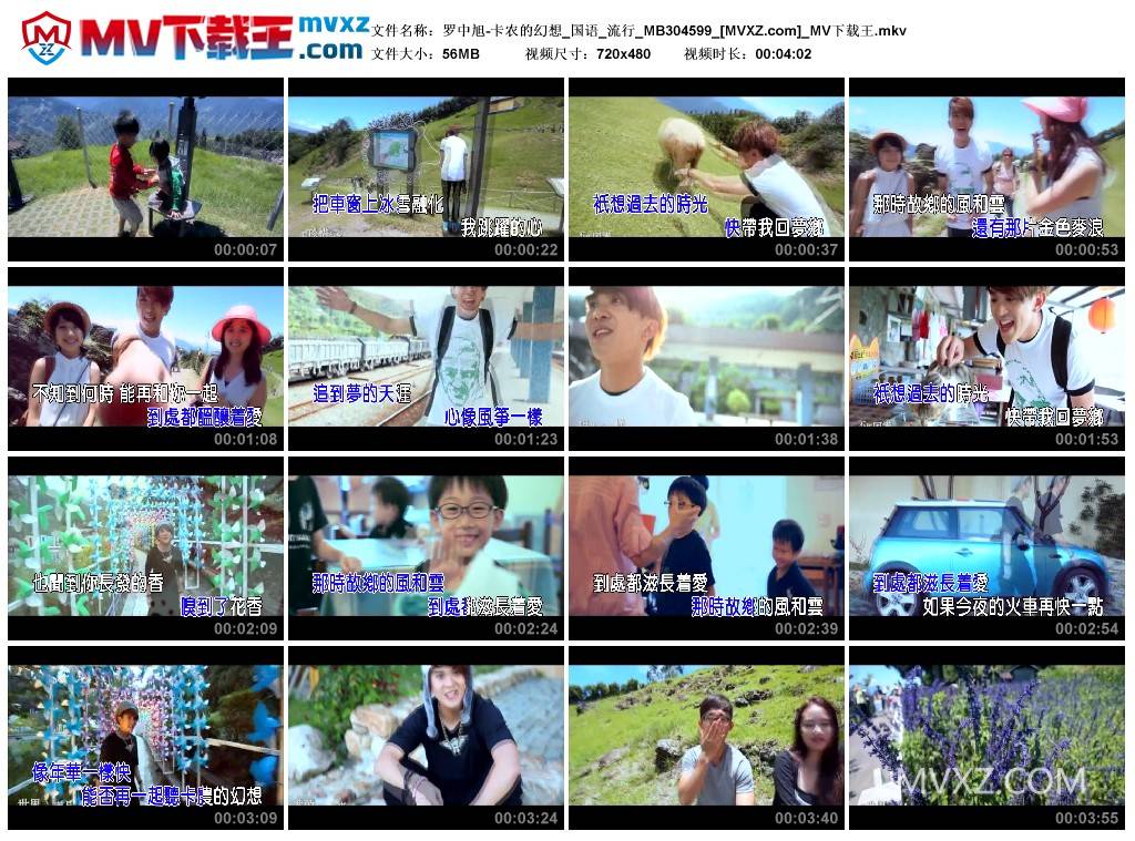 罗中旭-卡农的幻想_国语_流行_MB304599